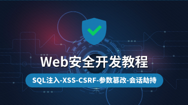 Web安全开发/防黑客必杀技