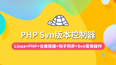PHP Svn版本控制器